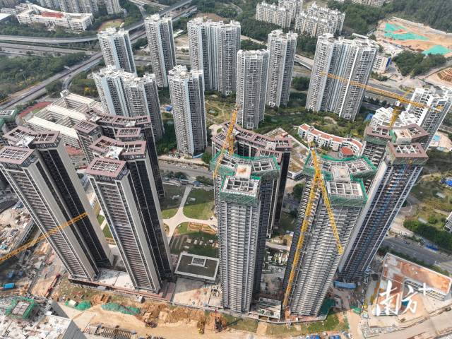 深圳一住宅項目。魯力 攝