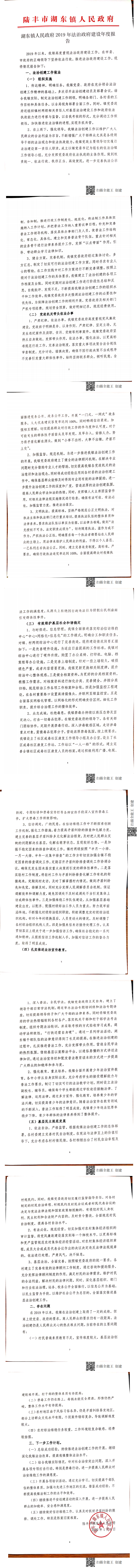 湖東鎮(zhèn)人民政府2019年法治政府建設(shè)年度報告_0.png