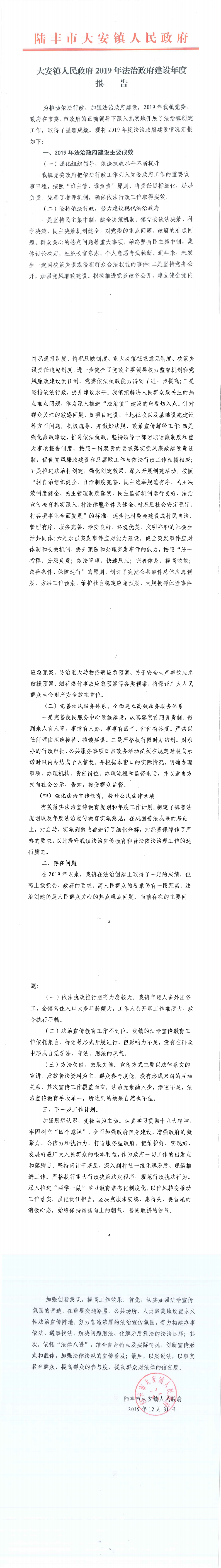 大安鎮(zhèn)人民政府2019年法治政府建設年度報告_0.png
