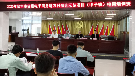 陸豐市省級電子商務(wù)進農(nóng)村綜合示范項目-甲子鎮(zhèn)電商培訓班.png