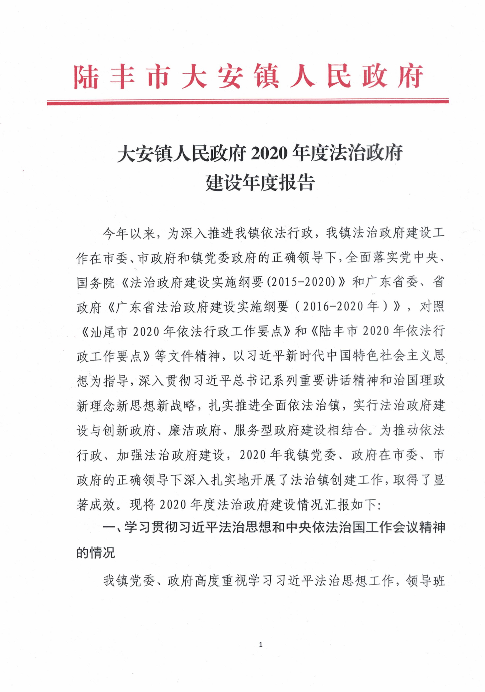 大安鎮(zhèn)人民政府2020年度法治政府建設(shè)年度報告_00.png