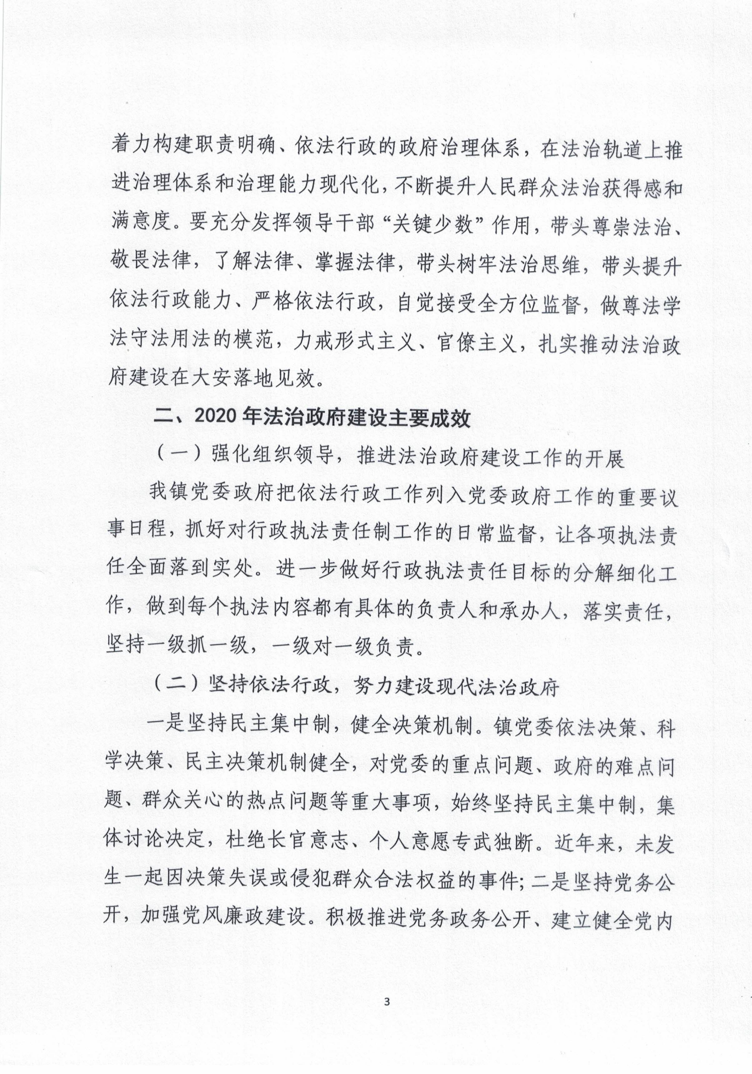 大安鎮(zhèn)人民政府2020年度法治政府建設(shè)年度報告_02.png